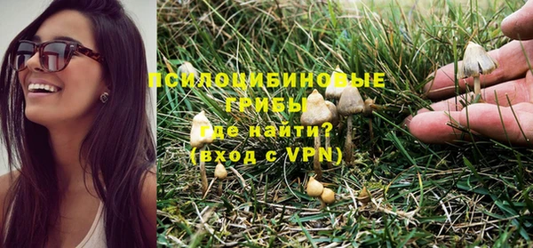 альфа пвп Бердск
